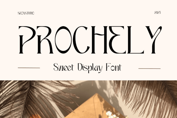 Prochely Font for Web Design